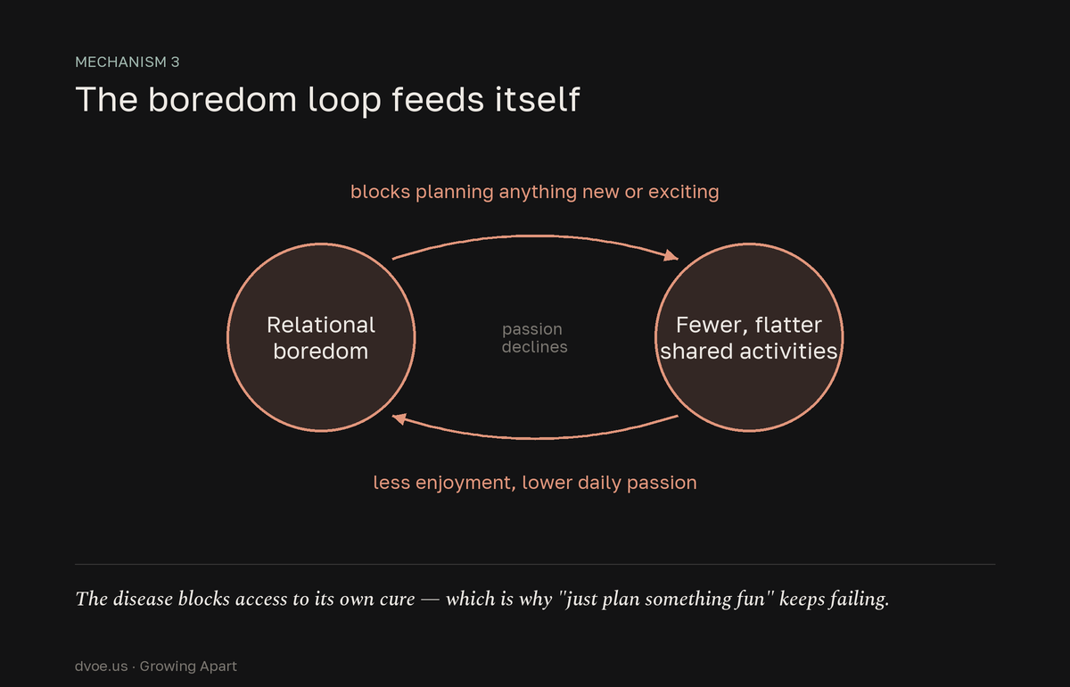 Cycle diagram of the relational boredom loop: boredom obstructs exciting shared activities, which lowers enjoyment and daily passion, which deepens the boredom, based on a 122-couple diary study.