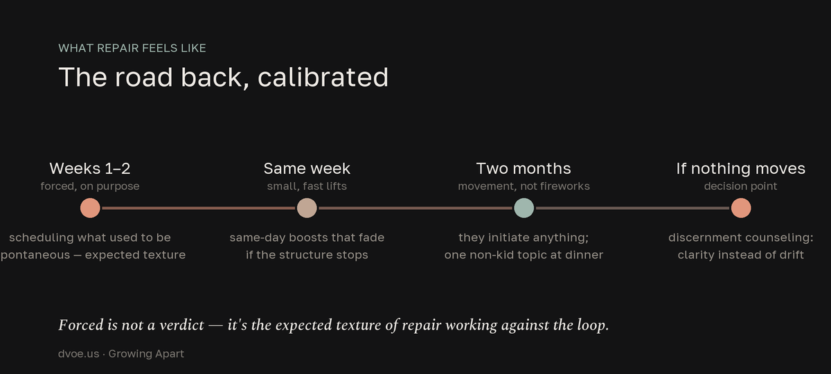 Timeline of relationship repair after growing apart: the first weeks feel forced, small same-week lifts fade without structure, two months brings movement rather than fireworks, and no movement at all points to discernment counseling.